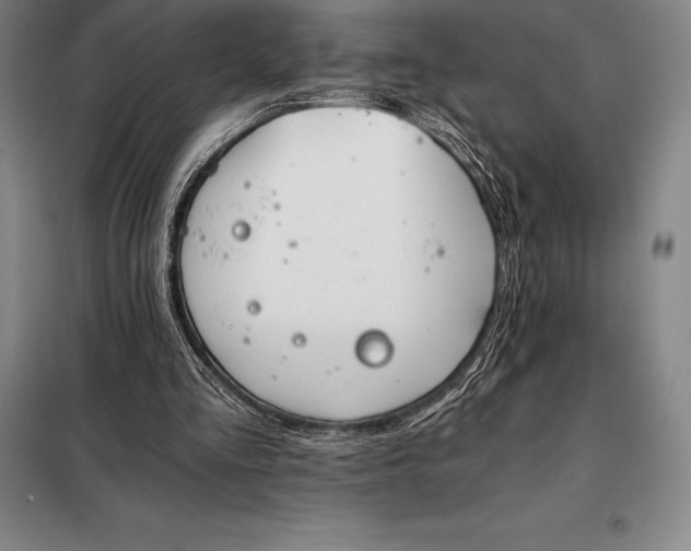 X0000098140293200805011350