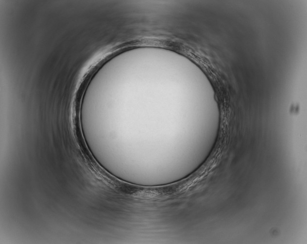 X0000098140294200805011350
