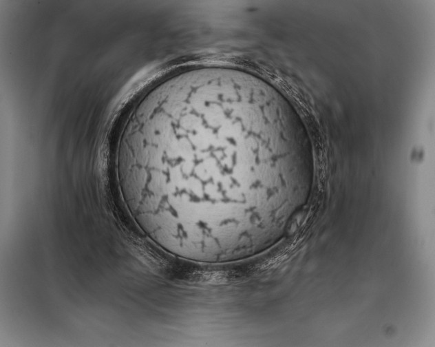 X0000098140295200805011350