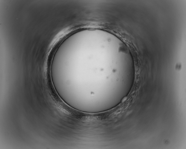 X0000098140296200805011350