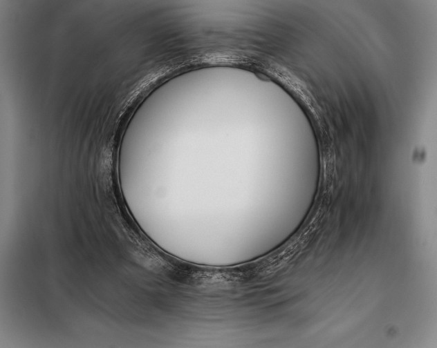 X0000098140297200805011350