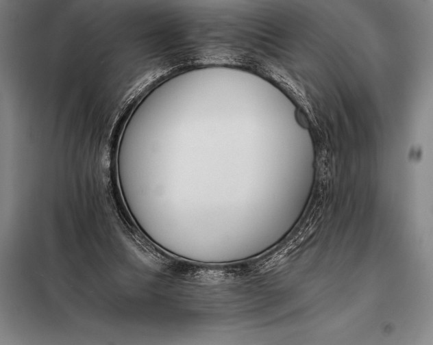 X0000098140298200805011350