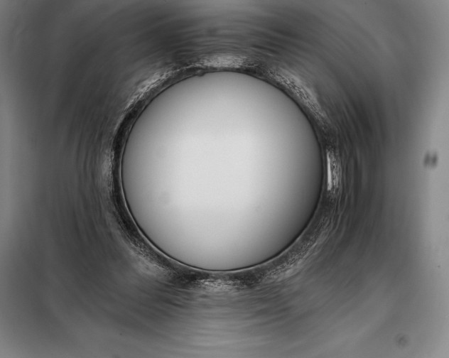 X0000098140300200805011350