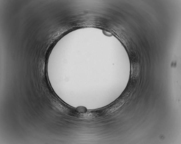 X0000098140301200805011350