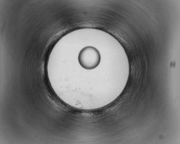 X0000098140302200805011350