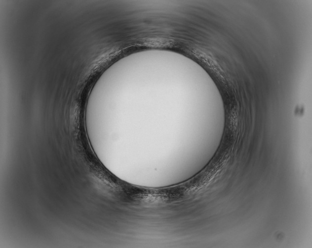 X0000098140303200805011350
