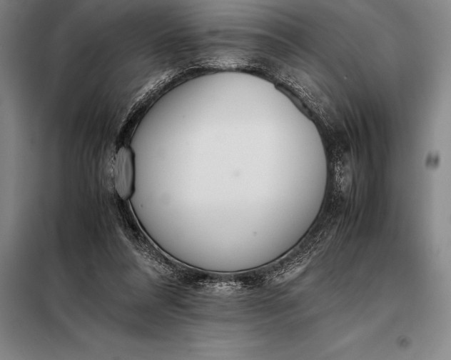 X0000098140304200805011350