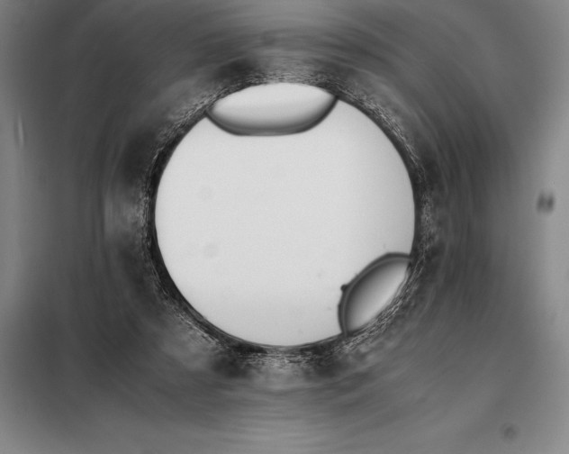X0000098140305200805011350