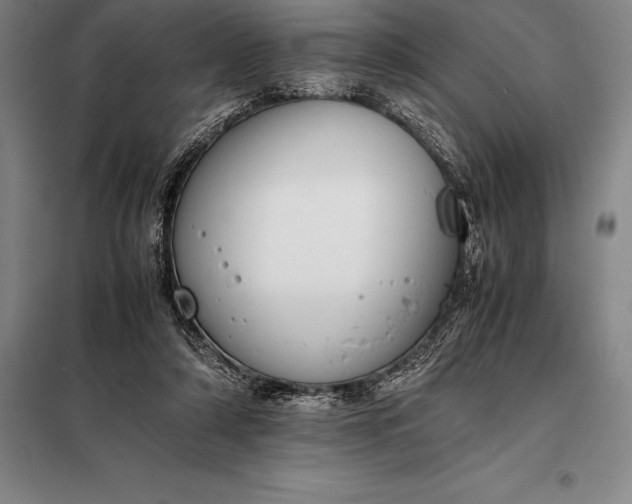 X0000098140306200805011350