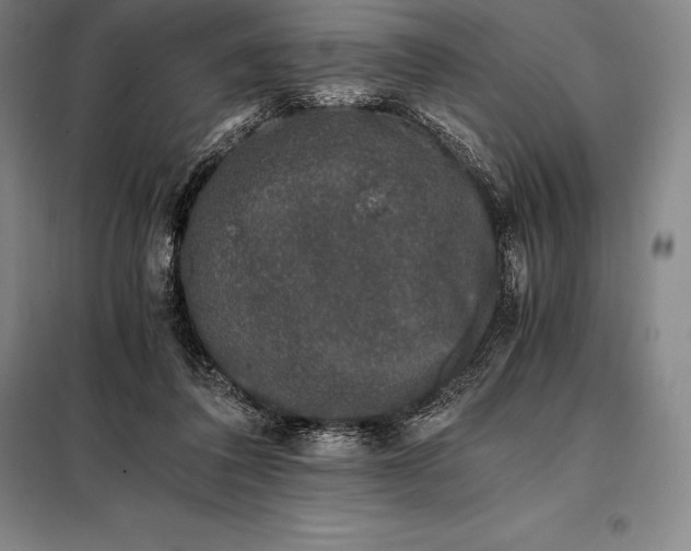 X0000098140308200805011350