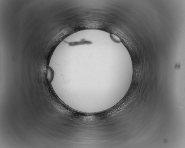 X0000098140309200805011350