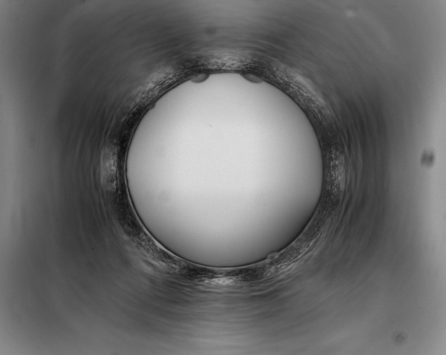 X0000098140312200805011350