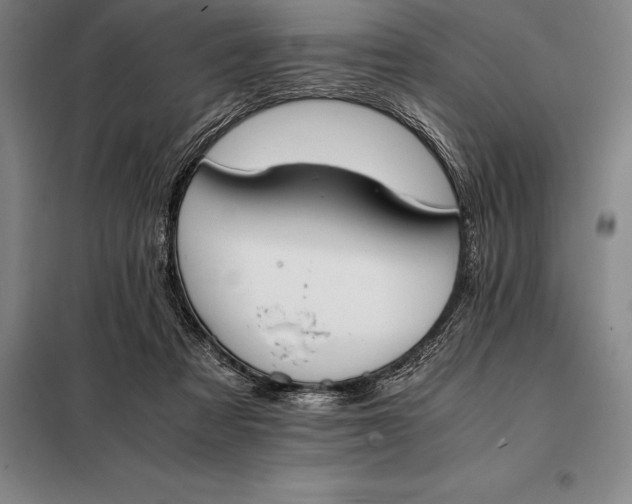 X0000098140313200805011350