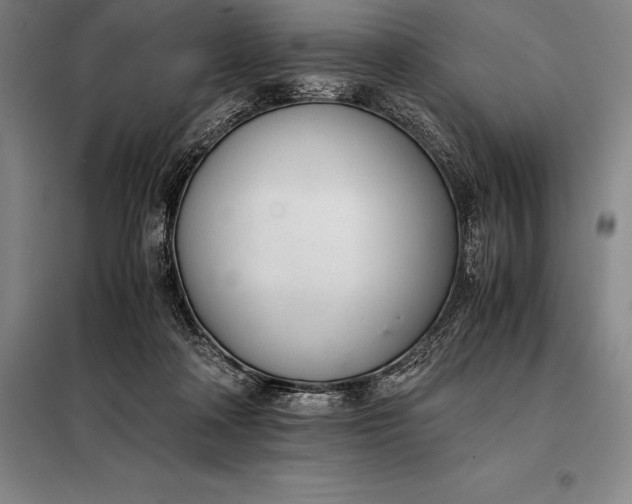 X0000098140314200805011350