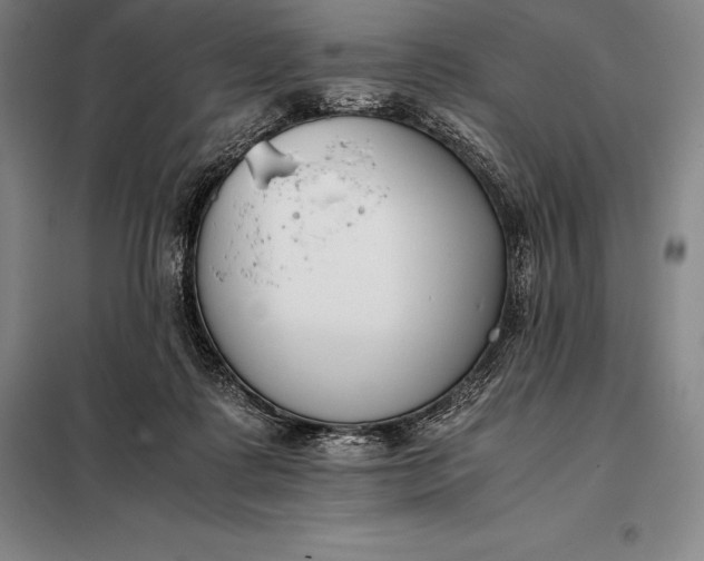 X0000098140315200805011350