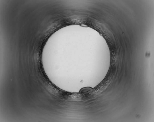 X0000098140317200805011350