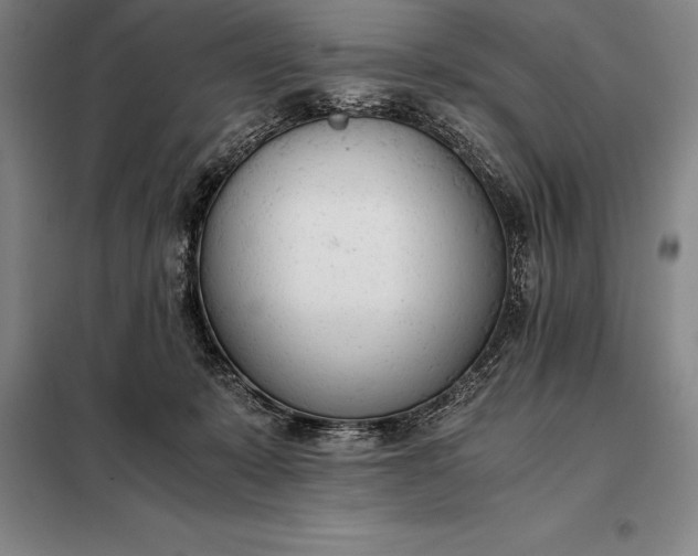 X0000098140319200805011350