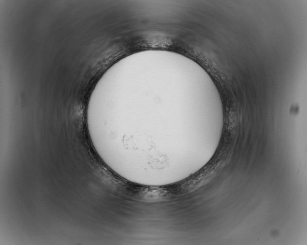 X0000098140321200805011350