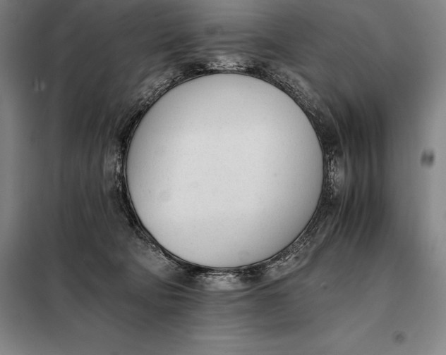 X0000098140322200805011350