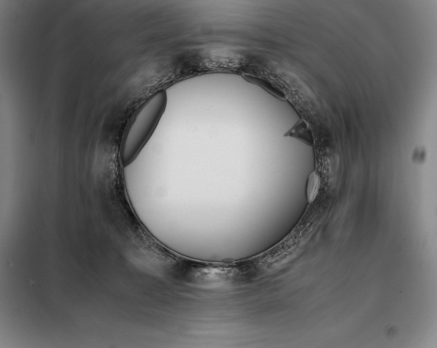 X0000098140323200805011350