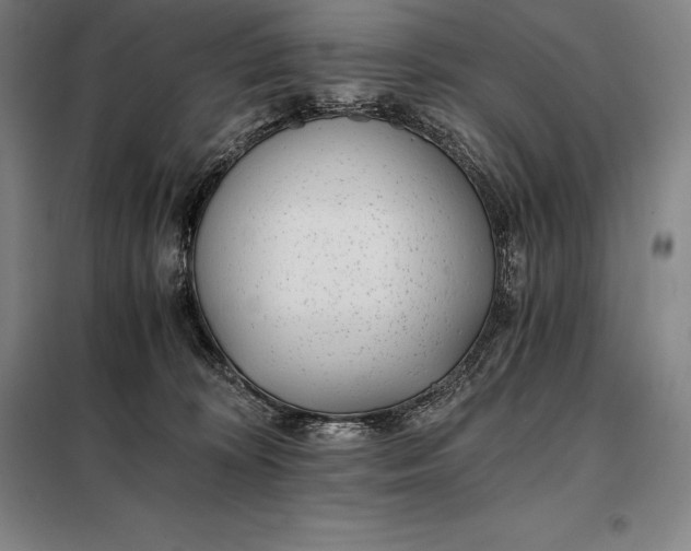 X0000098140324200805011350