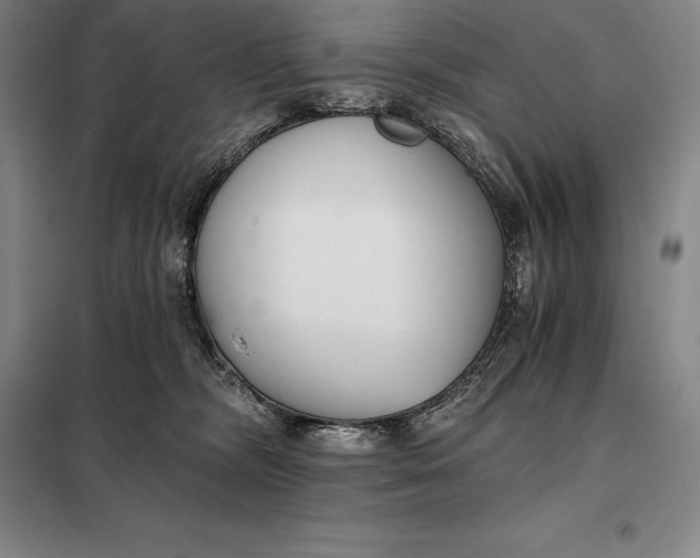 X0000098140326200805011350