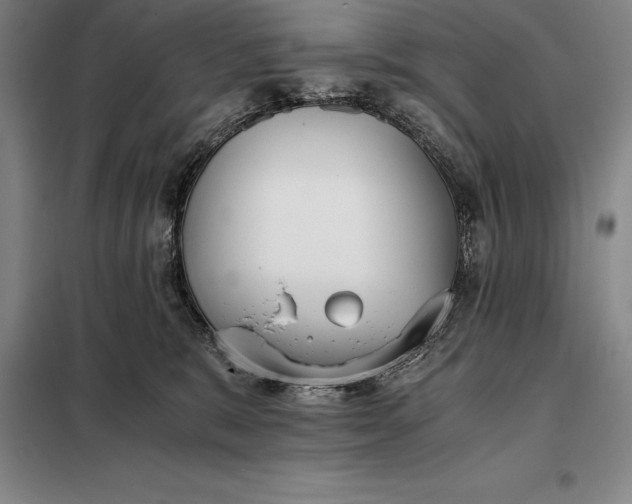 X0000098140327200805011350