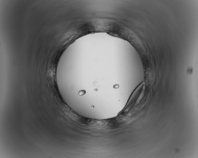 X0000098140329200805011350