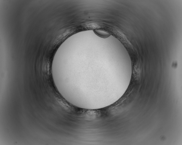 X0000098140330200805011350