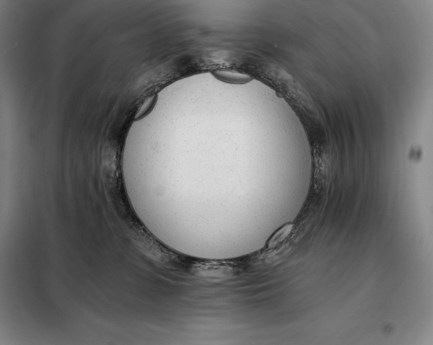 X0000098140331200805011350