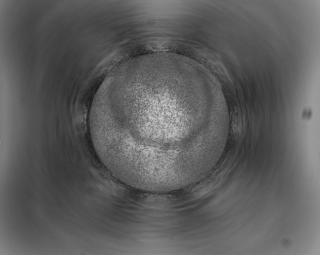X0000098140332200805011350