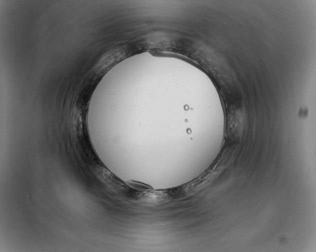 X0000098140333200805011350