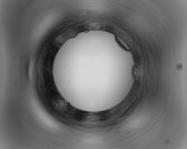 X0000098140335200805011350