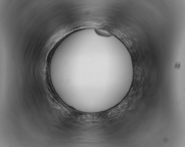 X0000098140338200805011349