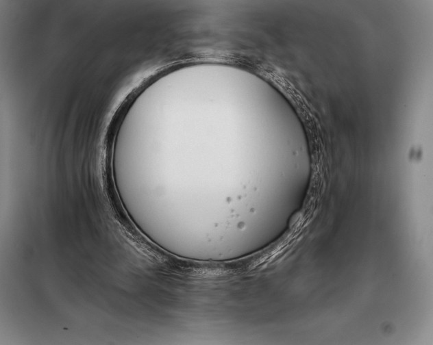 X0000098140342200805011349