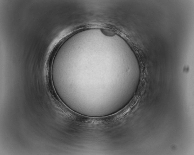 X0000098140343200805011349