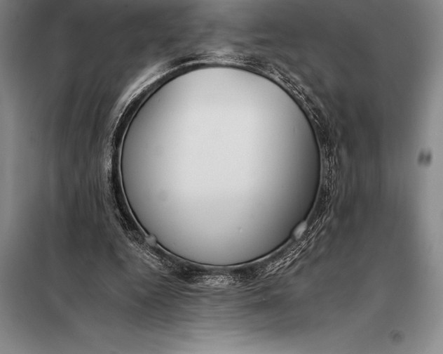 X0000098140344200805011349