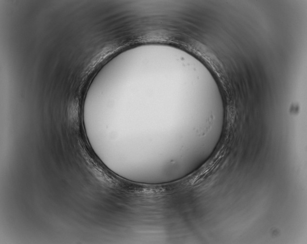 X0000098140345200805011349