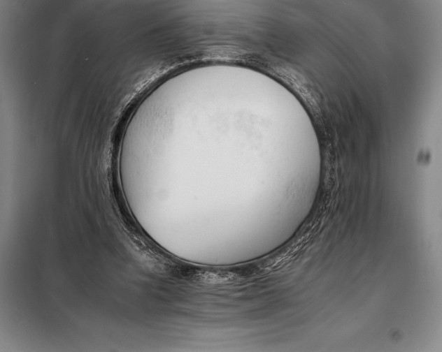 X0000098140346200805011349