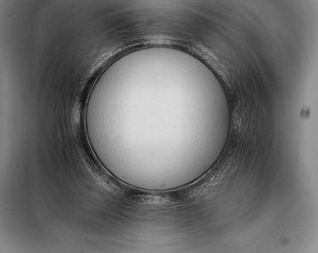 X0000098140347200805011349