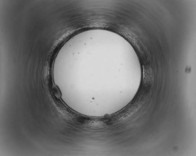 X0000098140348200805011349