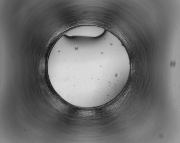X0000098140349200805011349