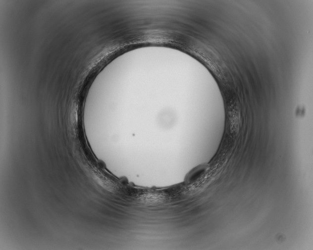 X0000098140350200805011349