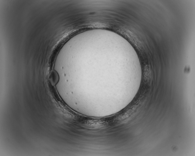 X0000098140351200805011349