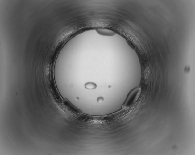 X0000098140352200805011349
