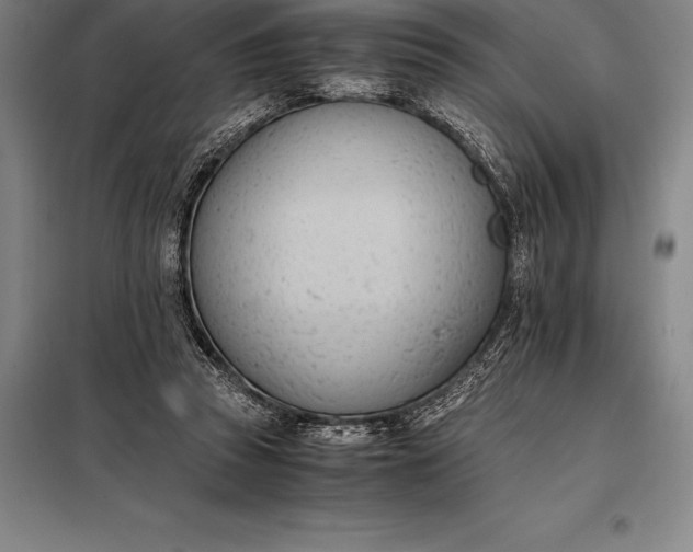 X0000098140353200805011349