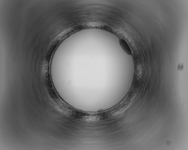 X0000098140356200805011349