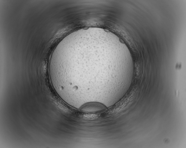 X0000098140357200805011349