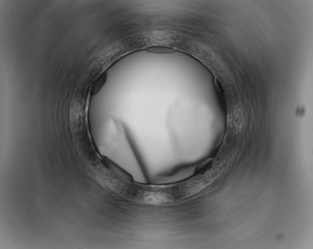 X0000098140360200805011349