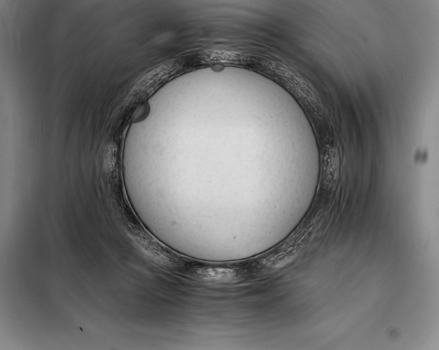 X0000098140361200805011349
